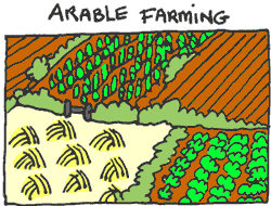 arable farming
