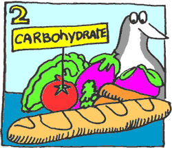 carbohydrate