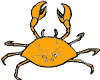 crab - cancer