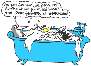 fashion? What's the point?