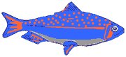 I am over-fished