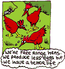 free-range hens