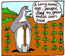 growing your own