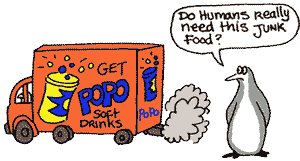 junk food - who needs it?