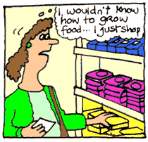 shopping dulls the mind