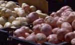 spuds