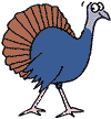 Tammy the Wild Turkey