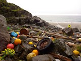 Littered shoreline, Norway. Photo: Bo Eide