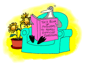 tiki_questions_book