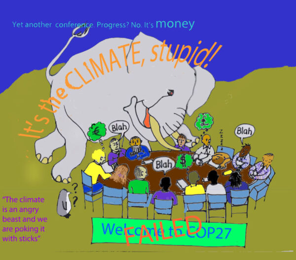 Elephant in the room as arguments continue over money at COP27, noe failed